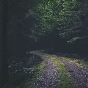 Preview wallpaper road, turn, dark, forest, trees