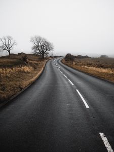 Preview wallpaper road, turn, field, trees