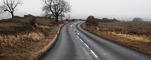 Preview wallpaper road, turn, field, trees