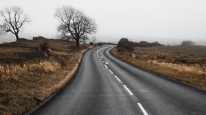 Preview wallpaper road, turn, field, trees