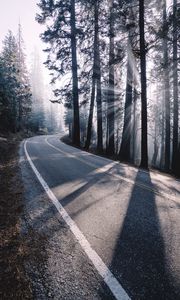 Preview wallpaper road, turn, fog, trees, forest, sunlight