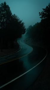 Preview wallpaper road, turn, fog, dusk