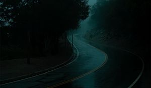 Preview wallpaper road, turn, fog, dusk