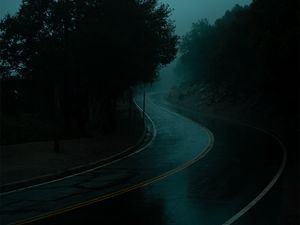 Preview wallpaper road, turn, fog, dusk