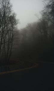 Preview wallpaper road, turn, fog, haze, dusk