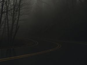 Preview wallpaper road, turn, fog, haze, dusk