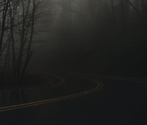 Preview wallpaper road, turn, fog, haze, dusk