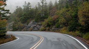 Preview wallpaper road, turn, fog, trees, rocks, nature