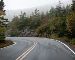 Preview wallpaper road, turn, fog, trees, rocks, nature