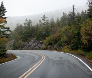 Preview wallpaper road, turn, fog, trees, rocks, nature