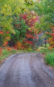 Preview wallpaper road, turn, forest, trees, autumn, nature