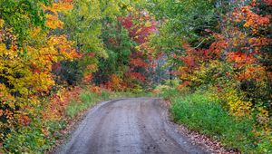 Preview wallpaper road, turn, forest, trees, autumn, nature