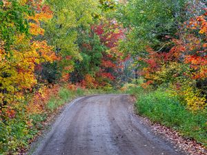 Preview wallpaper road, turn, forest, trees, autumn, nature