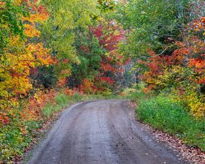 Preview wallpaper road, turn, forest, trees, autumn, nature