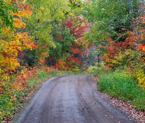 Preview wallpaper road, turn, forest, trees, autumn, nature