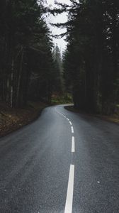 Preview wallpaper road, turn, forest, trees, nature