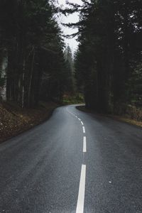 Preview wallpaper road, turn, forest, trees, nature