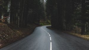 Preview wallpaper road, turn, forest, trees, nature