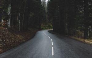 Preview wallpaper road, turn, forest, trees, nature
