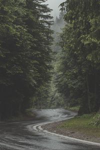 Preview wallpaper road, turn, forest, trees