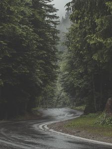 Preview wallpaper road, turn, forest, trees