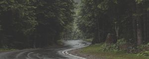 Preview wallpaper road, turn, forest, trees