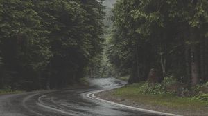 Preview wallpaper road, turn, forest, trees