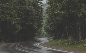 Preview wallpaper road, turn, forest, trees