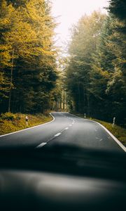 Preview wallpaper road, turn, forest, trees, nature, travel