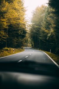 Preview wallpaper road, turn, forest, trees, nature, travel