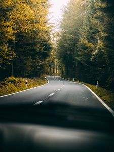 Preview wallpaper road, turn, forest, trees, nature, travel