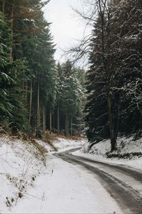 Preview wallpaper road, turn, forest, trees, snow, winter