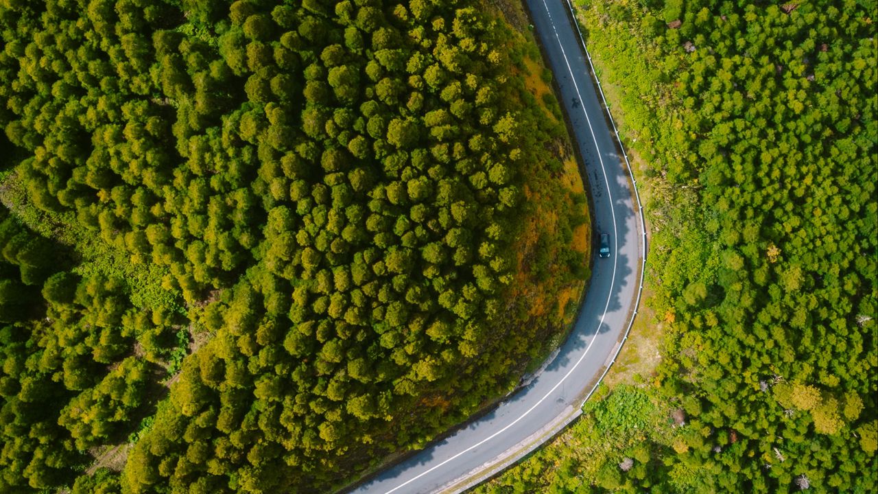 Wallpaper road, turn, forest, trees, aerial view