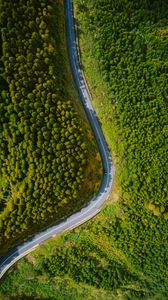 Preview wallpaper road, turn, forest, trees, aerial view