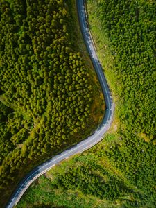 Preview wallpaper road, turn, forest, trees, aerial view