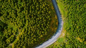 Preview wallpaper road, turn, forest, trees, aerial view