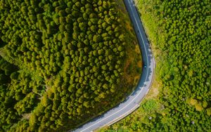 Preview wallpaper road, turn, forest, trees, aerial view