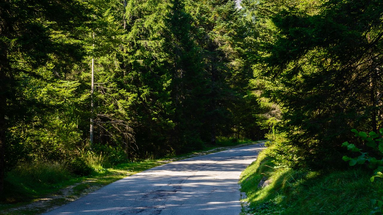 Wallpaper road, turn, forest, mountains, landscape