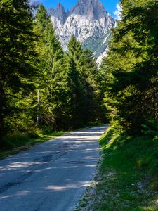 Preview wallpaper road, turn, forest, mountains, landscape