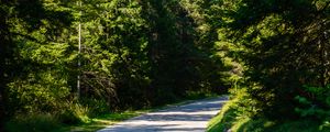 Preview wallpaper road, turn, forest, mountains, landscape