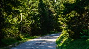 Preview wallpaper road, turn, forest, mountains, landscape