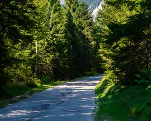 Preview wallpaper road, turn, forest, mountains, landscape