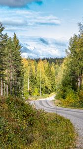 Preview wallpaper road, turn, forest, trees, nature, landscape