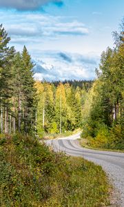 Preview wallpaper road, turn, forest, trees, nature, landscape