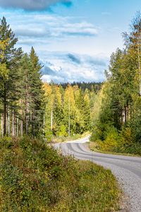 Preview wallpaper road, turn, forest, trees, nature, landscape