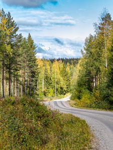 Preview wallpaper road, turn, forest, trees, nature, landscape