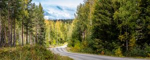 Preview wallpaper road, turn, forest, trees, nature, landscape