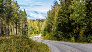 Preview wallpaper road, turn, forest, trees, nature, landscape