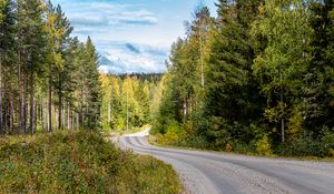 Preview wallpaper road, turn, forest, trees, nature, landscape