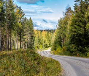 Preview wallpaper road, turn, forest, trees, nature, landscape